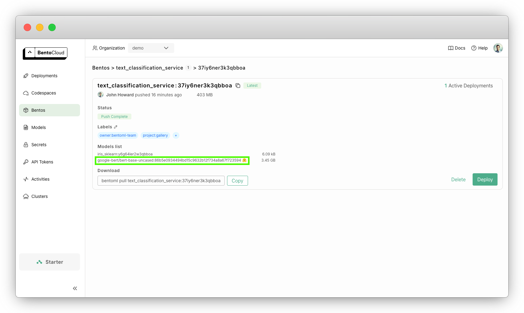 Hugging Face model marked with an icon on BentoCloud console